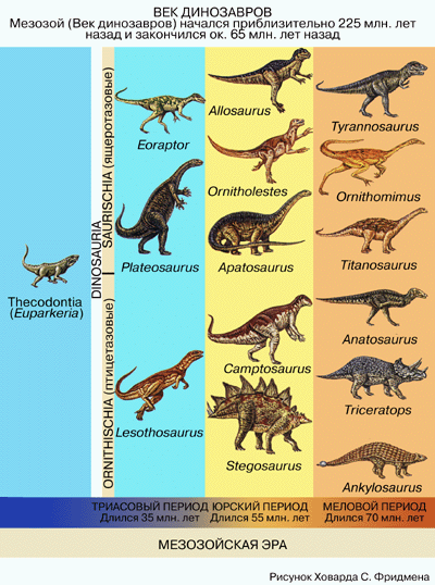 Откуда взялись динозавры: мезозойская эра и Парк Юрского периода